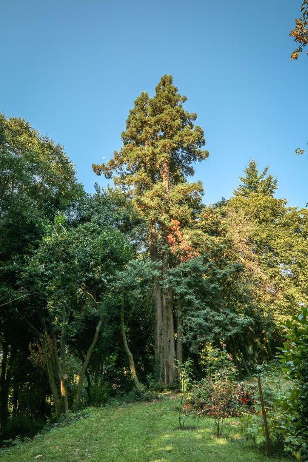Le Clos D'Abrigeon Aubenas Exterior foto
